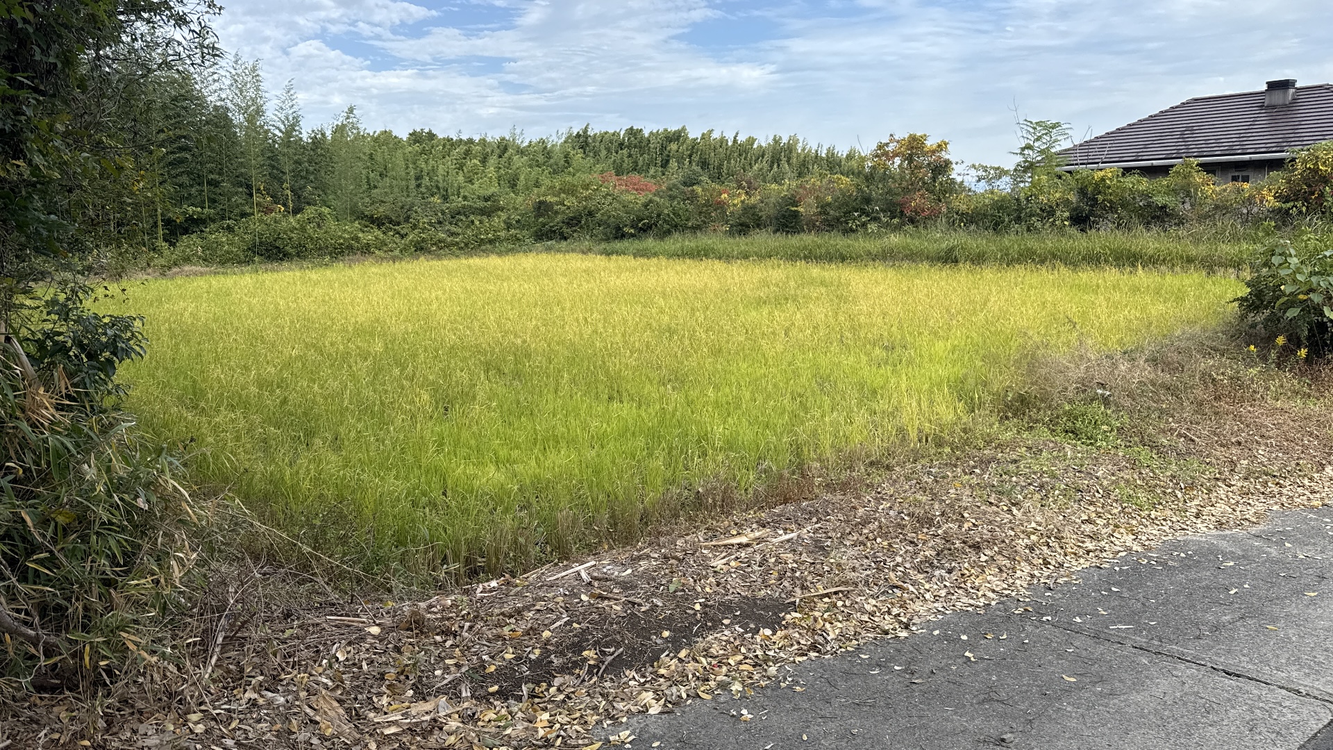 知多郡美浜町河和岡ノ脇215-2